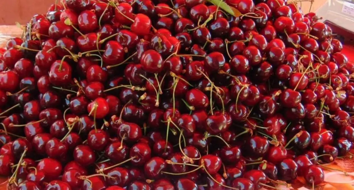 Cireșele de mai – Primele fructe românești apar pe marginea drumurilor