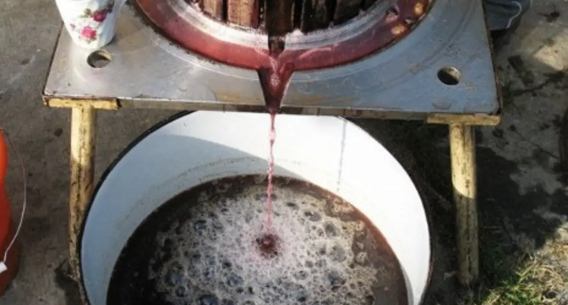 Metode eficiente pentru a păstra mustul dulce fără fermentare