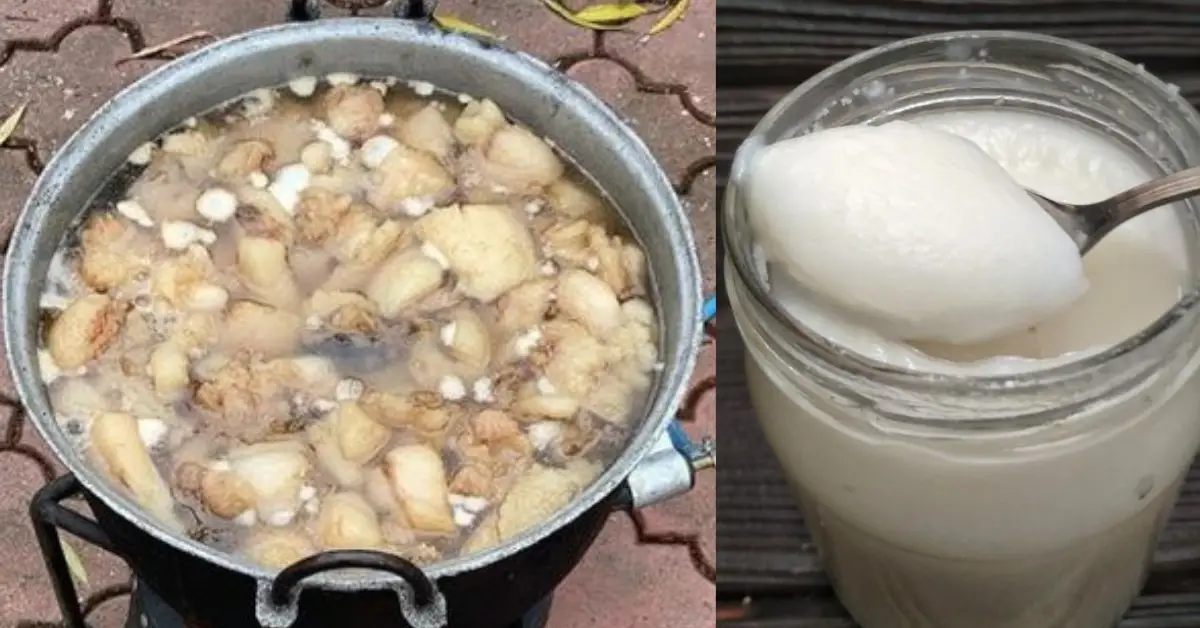Cum să obții untură de porc albă și fără miros