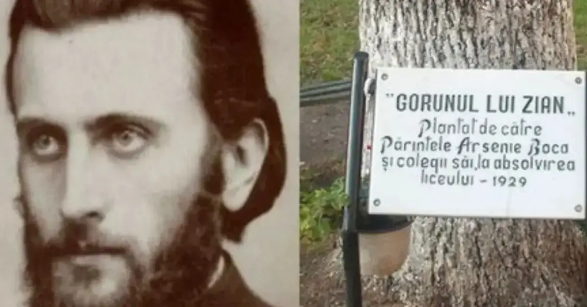 Stejarul lui Arsenie Boca: Simbolul Spiritualității Transformat prin Artă Sacră
