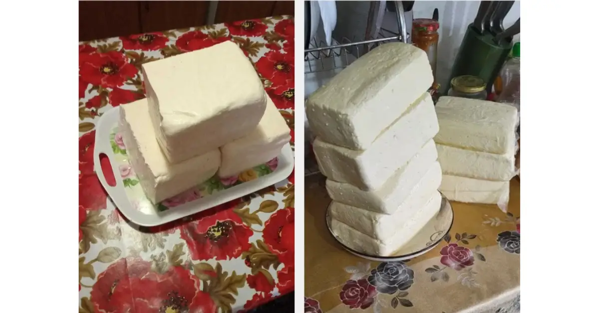 Brânza Săracului – cum se făcea brânza în sat, fără frigider