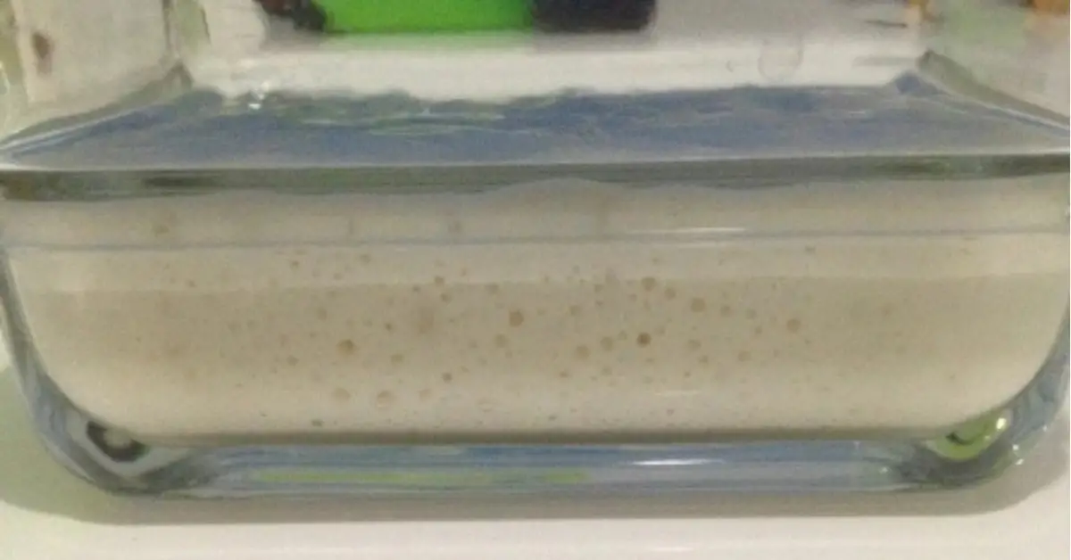 Învață cum să-ți prepari singur maiaua naturală, fără drojdie